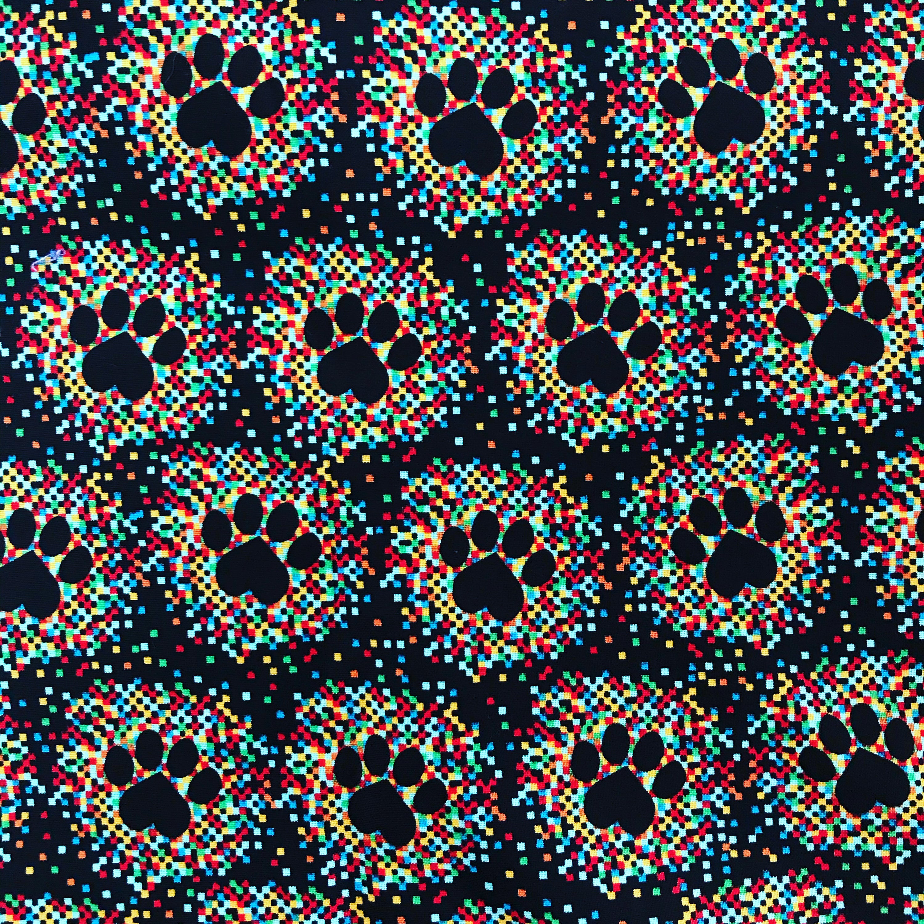 Zoom